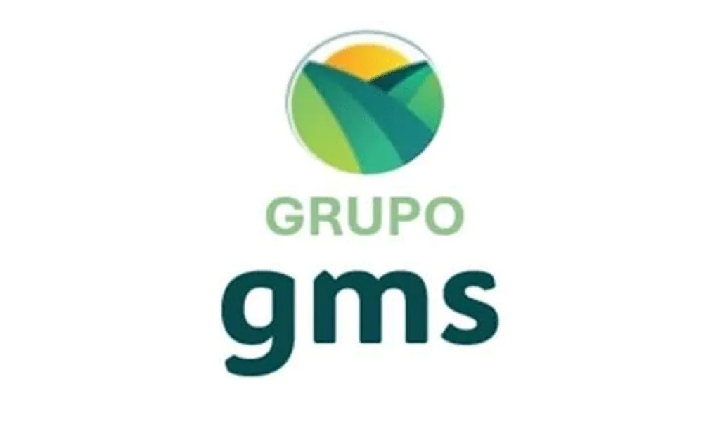 Logo Grupo GMS